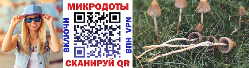 Псилоцибиновые грибы GOLDEN TEACHER Покров
